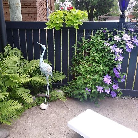 Gite Chez Baza Shawinigan Εξωτερικό φωτογραφία
