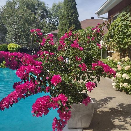 Gite Chez Baza Shawinigan Εξωτερικό φωτογραφία