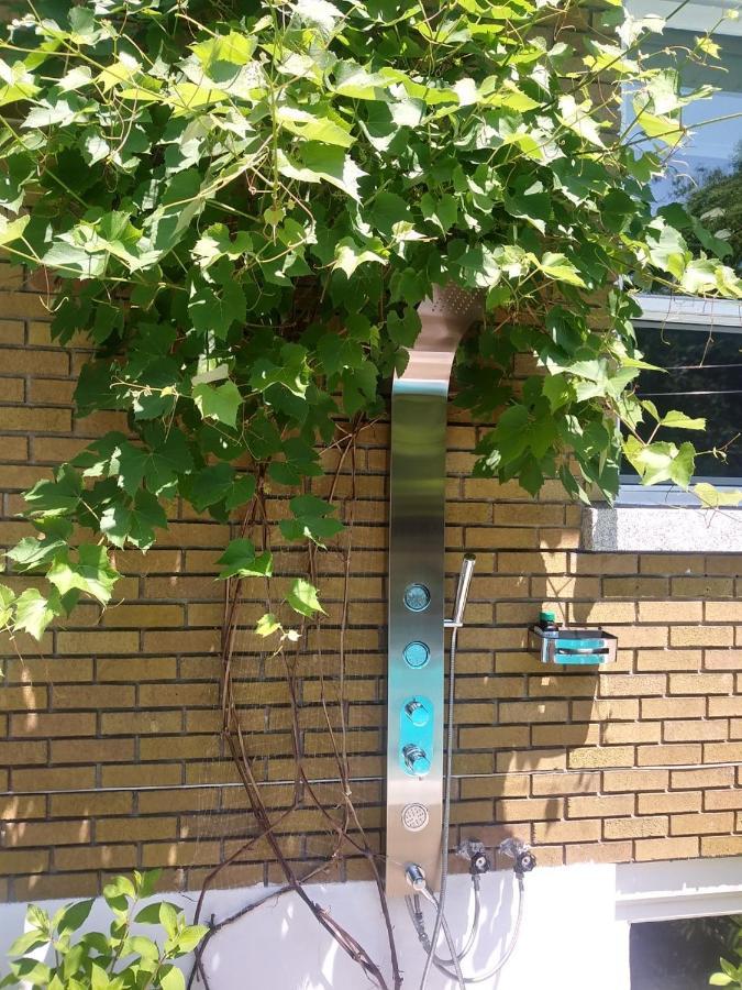 Gite Chez Baza Shawinigan Εξωτερικό φωτογραφία