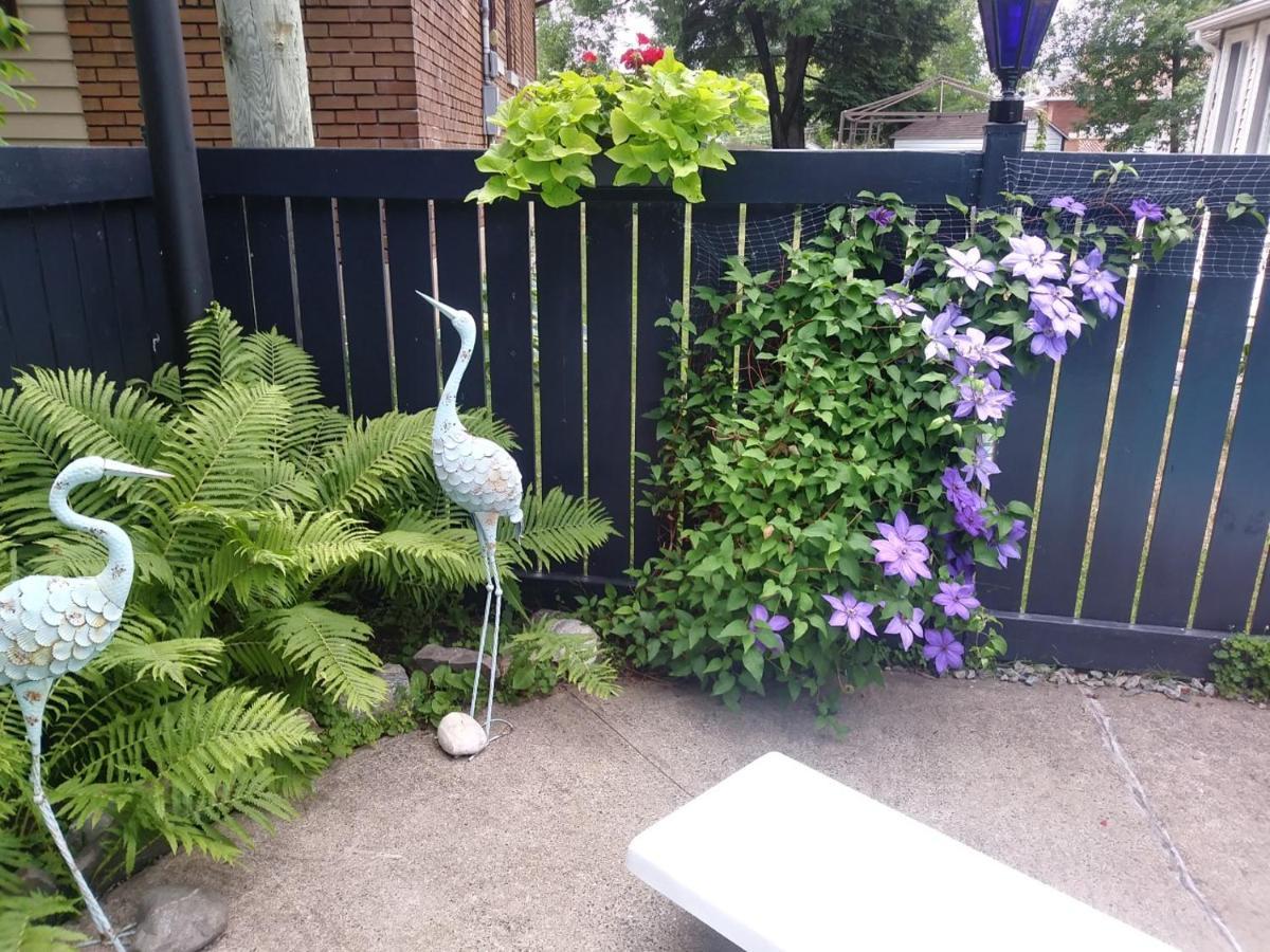 Gite Chez Baza Shawinigan Εξωτερικό φωτογραφία